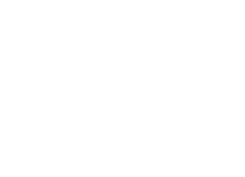 Rok Toni s.p. logotip